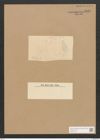Diatomeae indet. Zeichnungen Sammlung Grunow Nr. 2828 (NHMW-BOT-W0370136)
